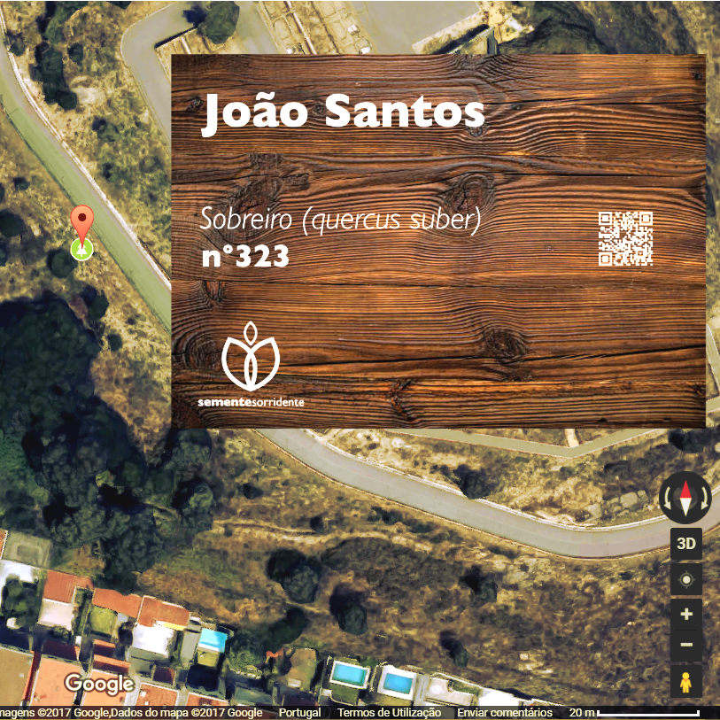 placa11.png