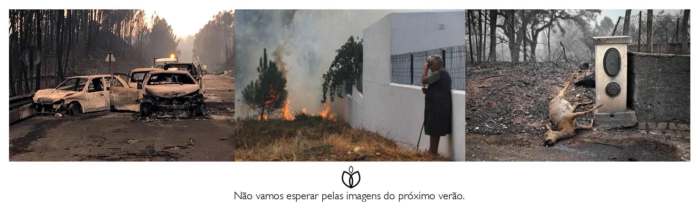 1º post4.jpg