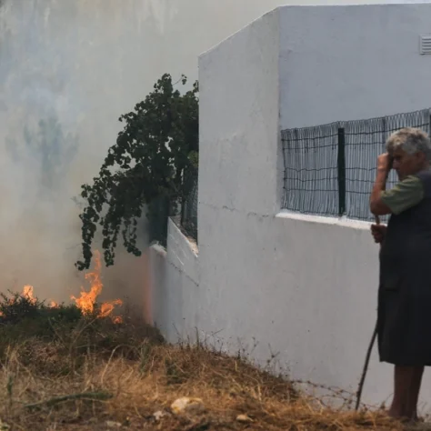 Incêndios: Ano após ano, o cenário repete-se.