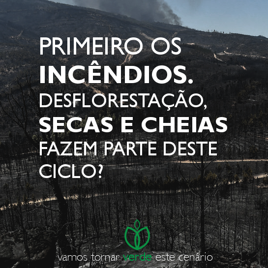 Secas para lá, Cheias para cá... É melhor PLANTAR! 