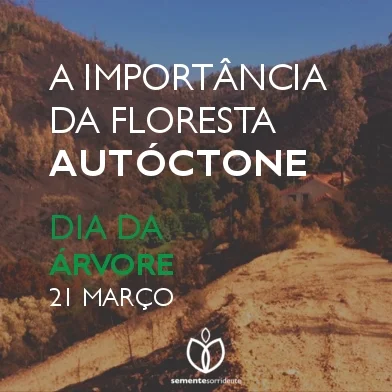 Dia da Árvore!