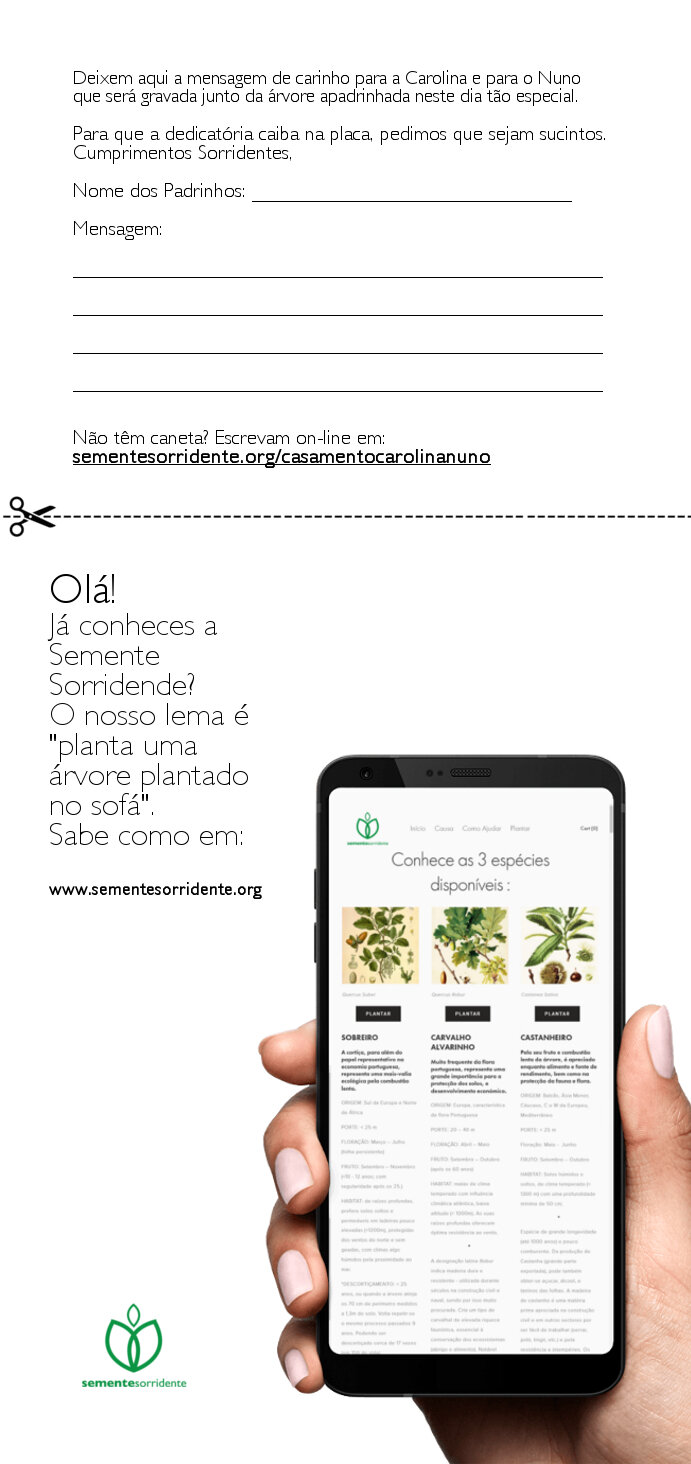 flyer2.jpg