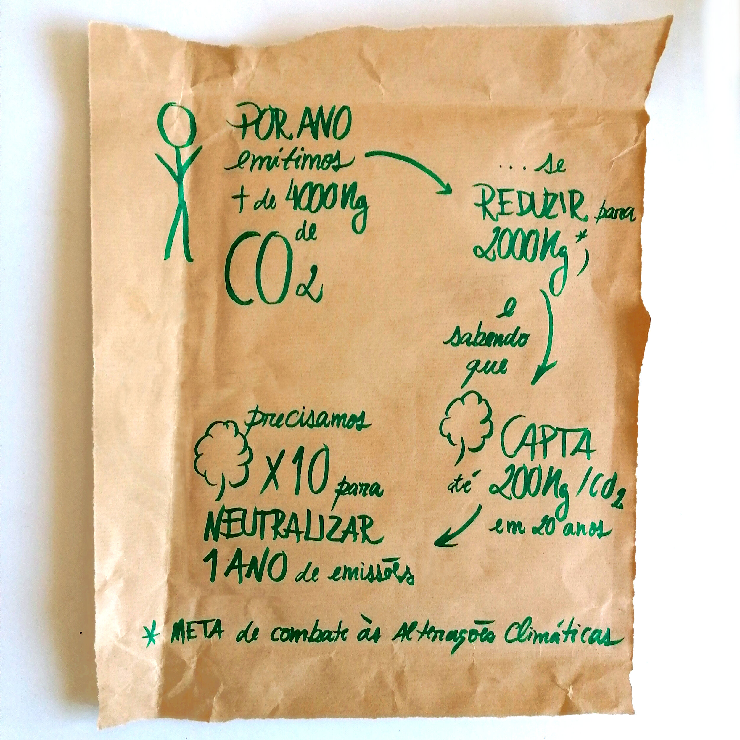 Sequestro de Carbono