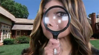 giphy (5).gif