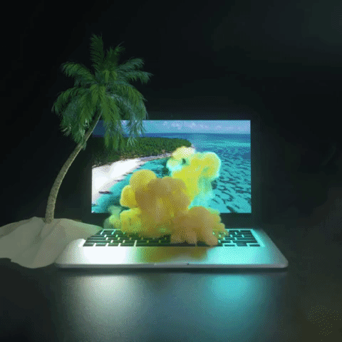 giphy.gif