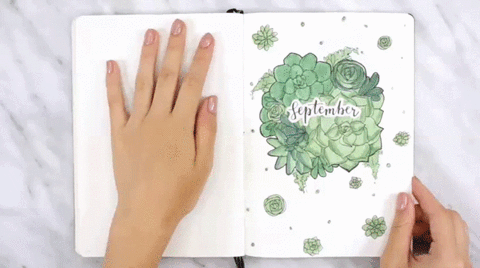 giphy (4).gif