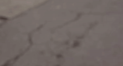 giphy (6).gif