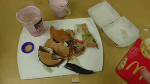 giphy (8).gif