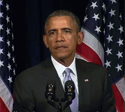 giphy (61).gif