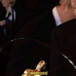 giphy (4).gif