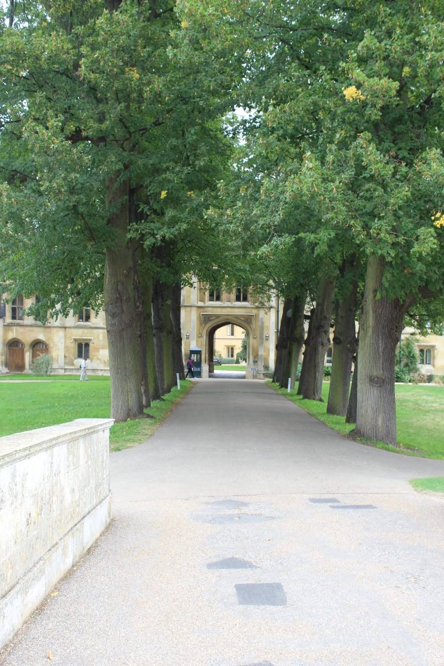 Trinity College Guide and Peek Cambridge walking tour