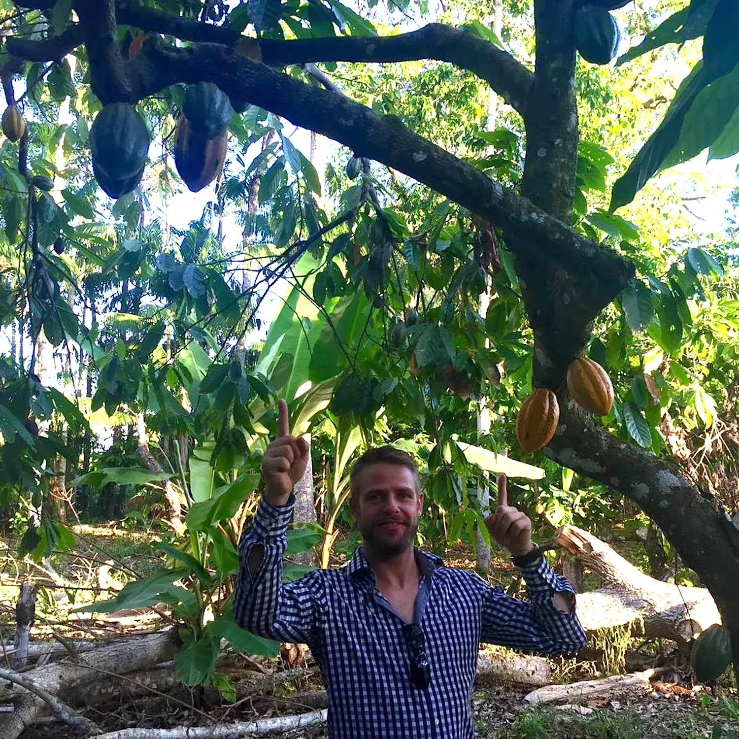 ataste-cacao-harvest-04.jpg