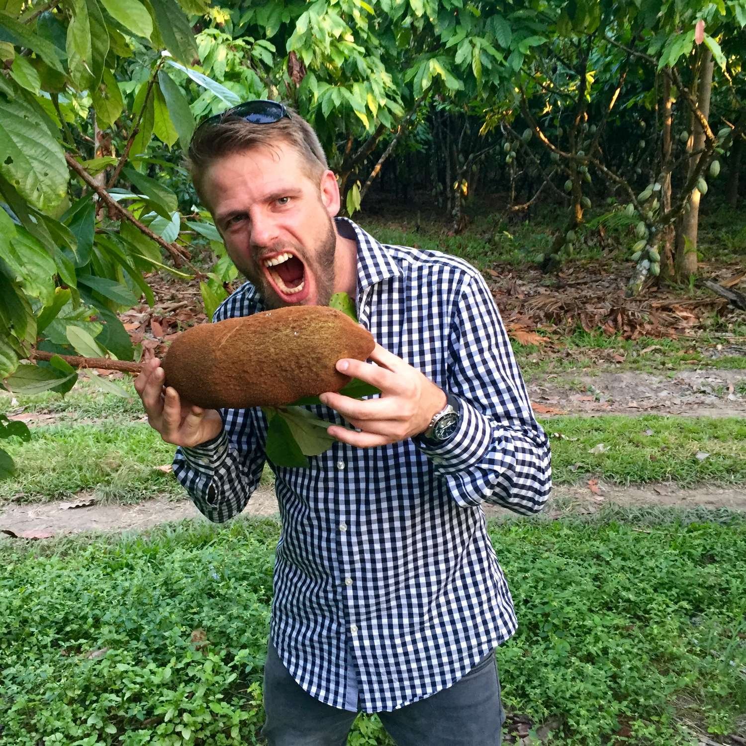 ataste-cupuacu-harvest-04.jpg