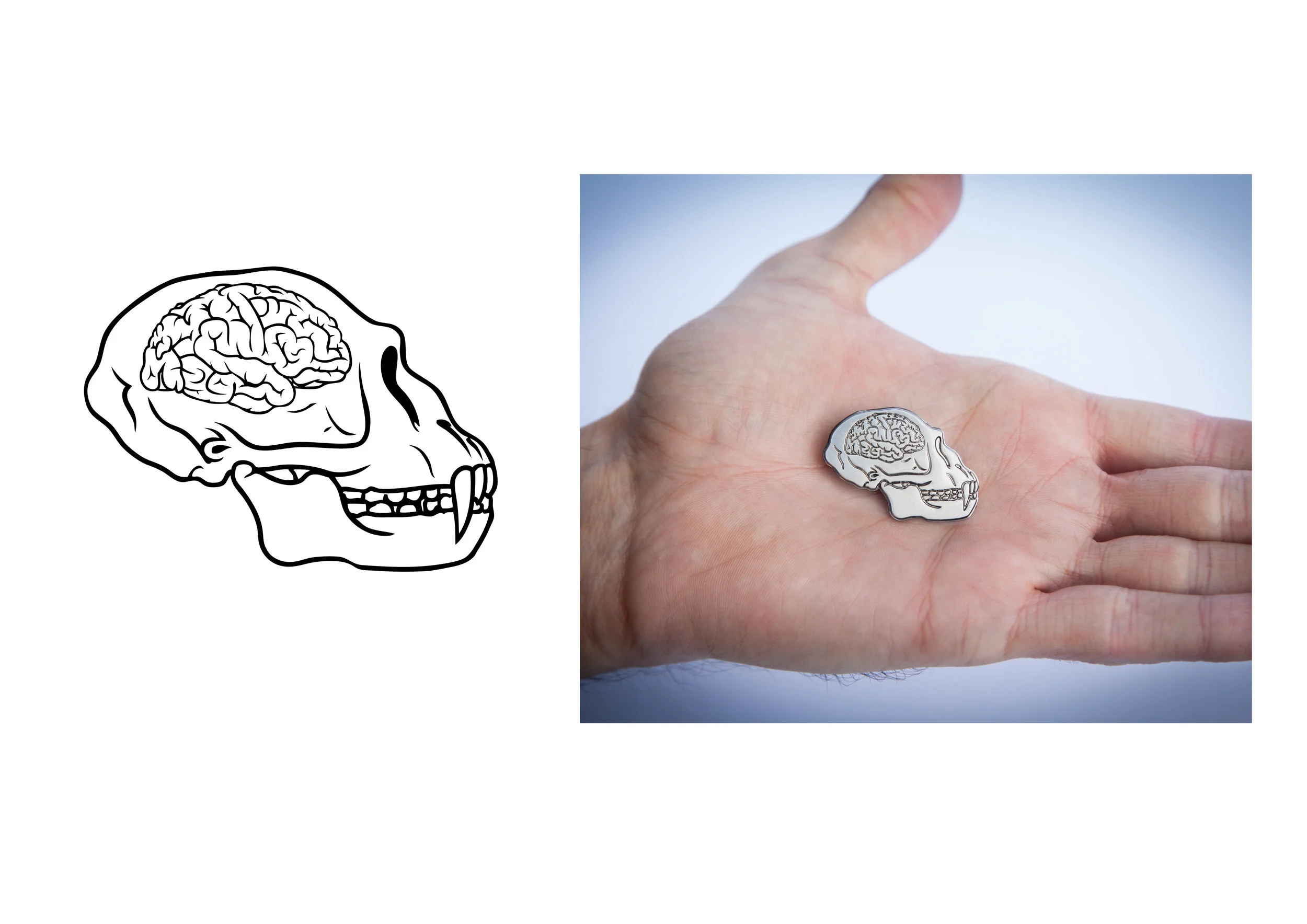 darwin.jpg