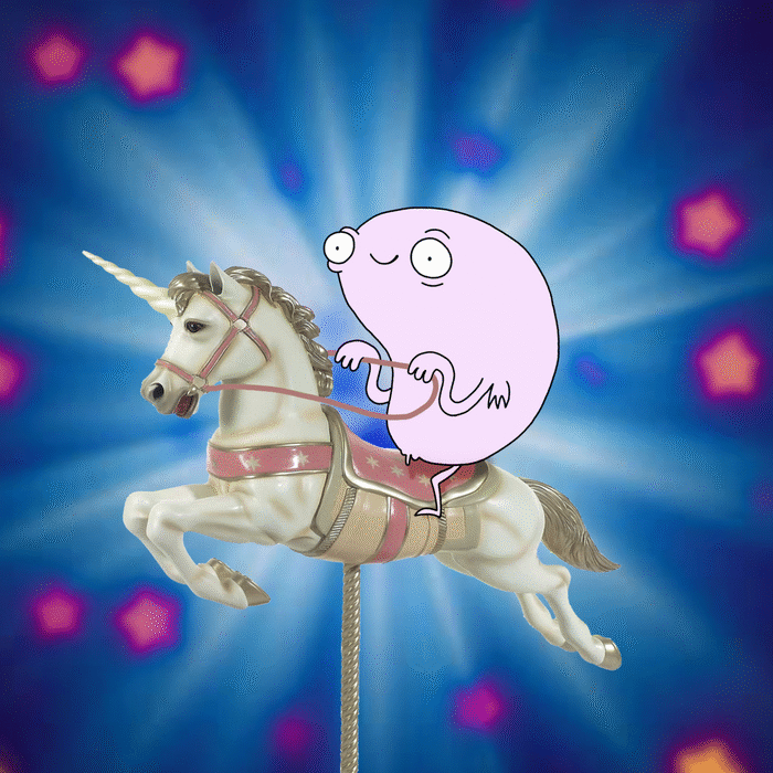 Unicorn Rider