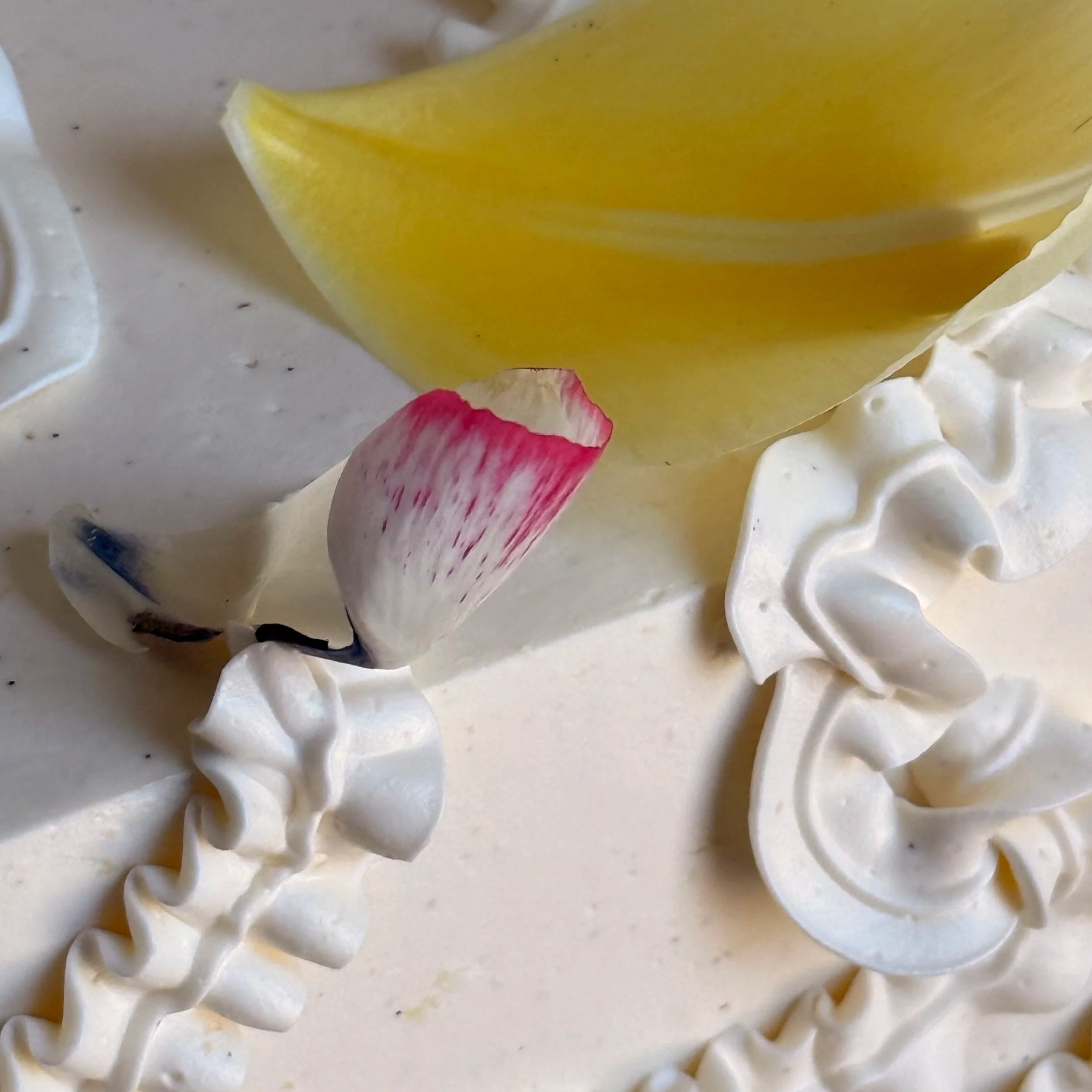 Spring Cakescape Adventures with Kitchen Sink Studio