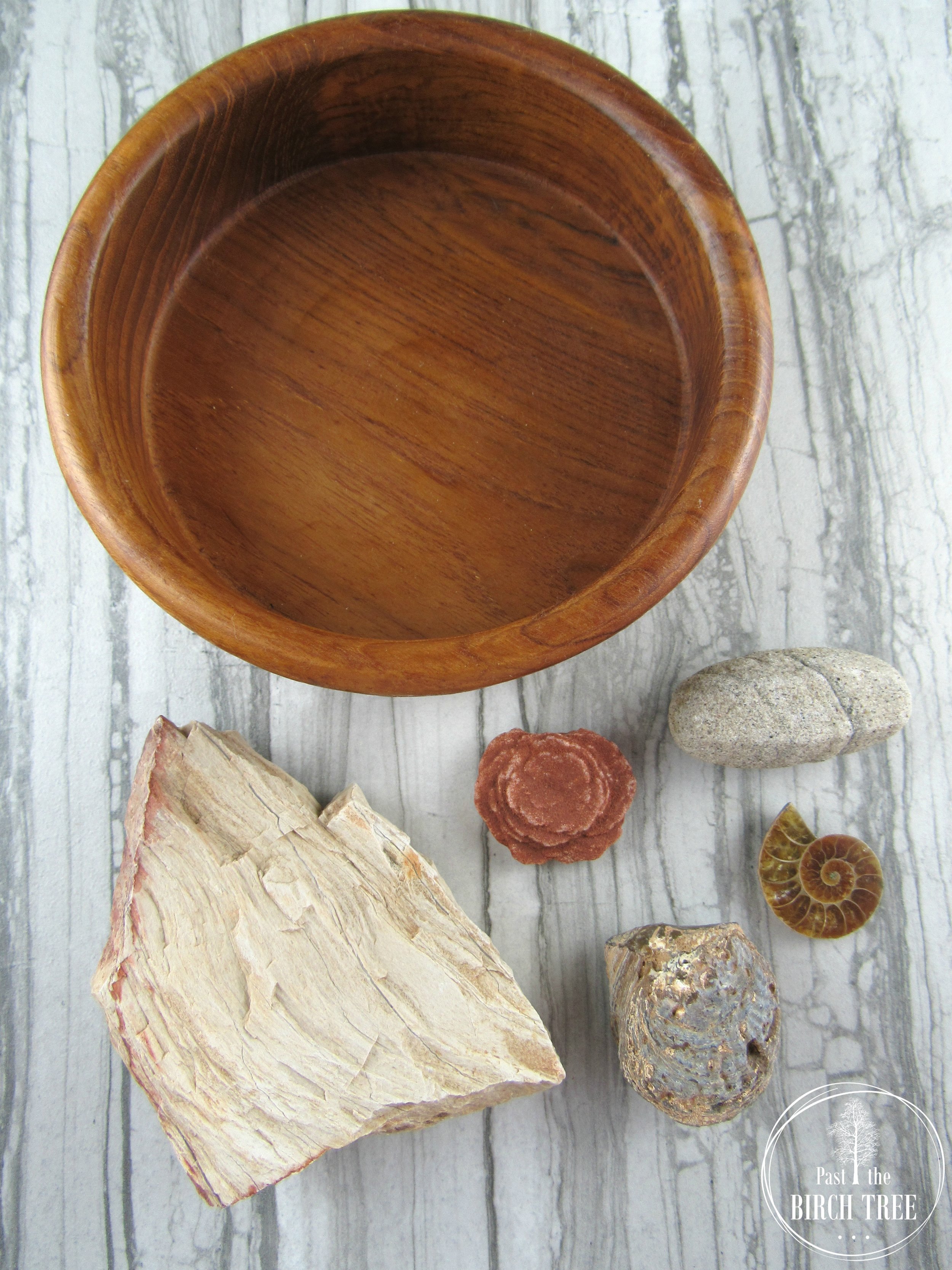 Item-2134.2-The-Old-As-Dirt-Collection-Petrified-Wood-Barite-Rose-Ammonite-Half-Agatized-Clam-Fossil-Sand-Calcite-Vintage-Wood-Bowl-Unique-Old-Age-Gift-Geology-Rocks-Past-the-Birch-Tree.jpg