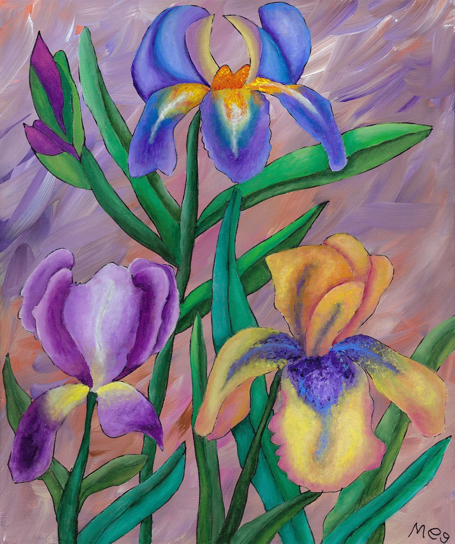 Iris Blooms in Spring ($220)