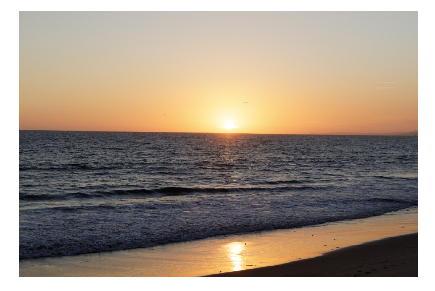 Screen Shot 2020-04-17 at 3.19.35 PM.png