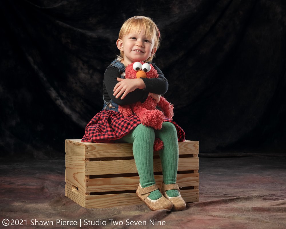  My 2-year old Olive with her favorite stuffy, Elmo. This is the photo we used for our family Christmas card in 2021 and it is probably my favorite studio work of the year… although I may be biased just a little. Isn’t she cute?!  