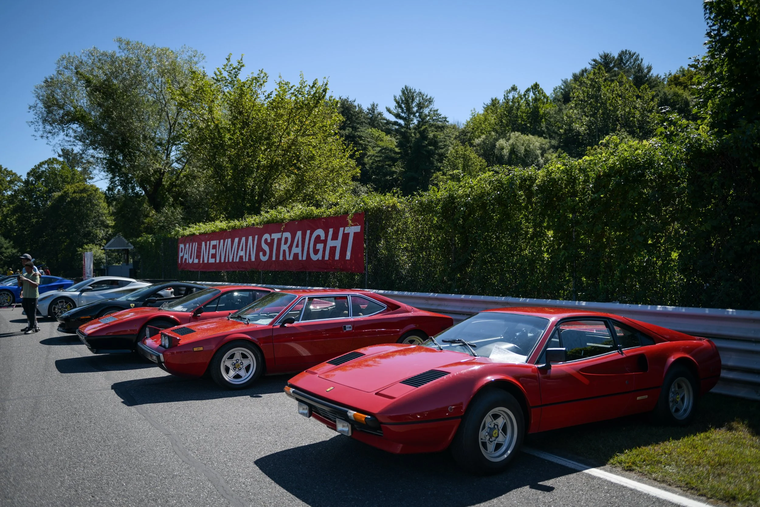  A portion of the Ferrari group at Gathering of the Marques.  