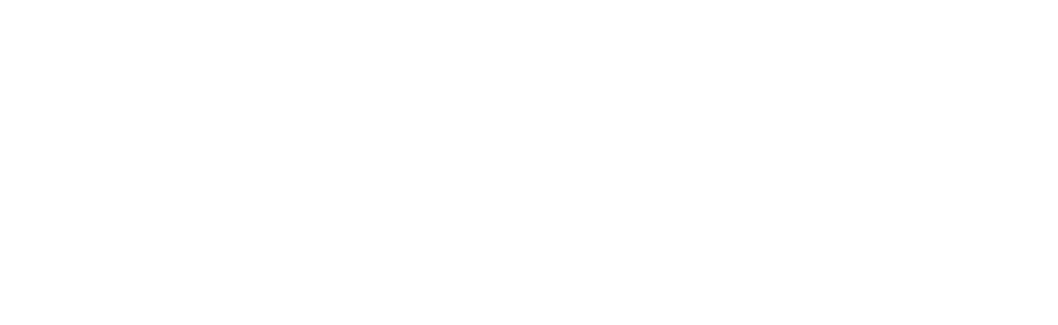 The Curtain Company