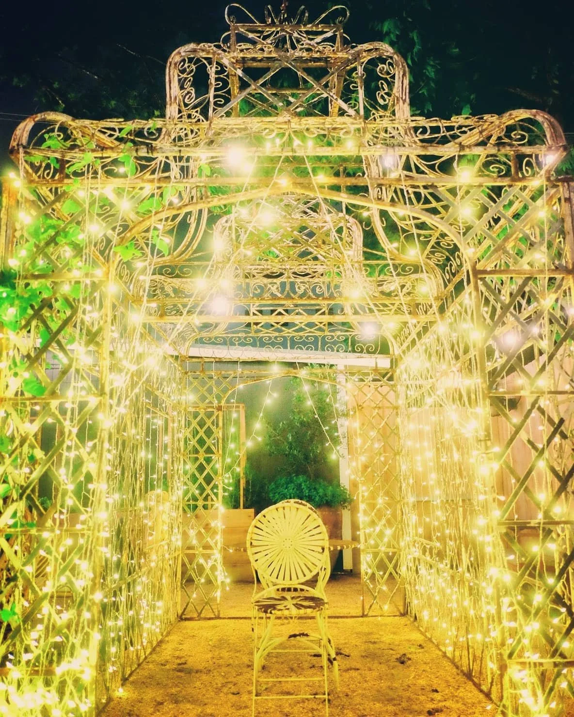 HoneyMoon - Cabana Lights.jpg