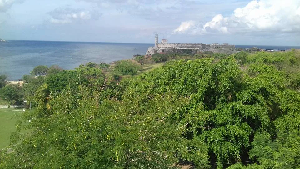 Havana Top Tips