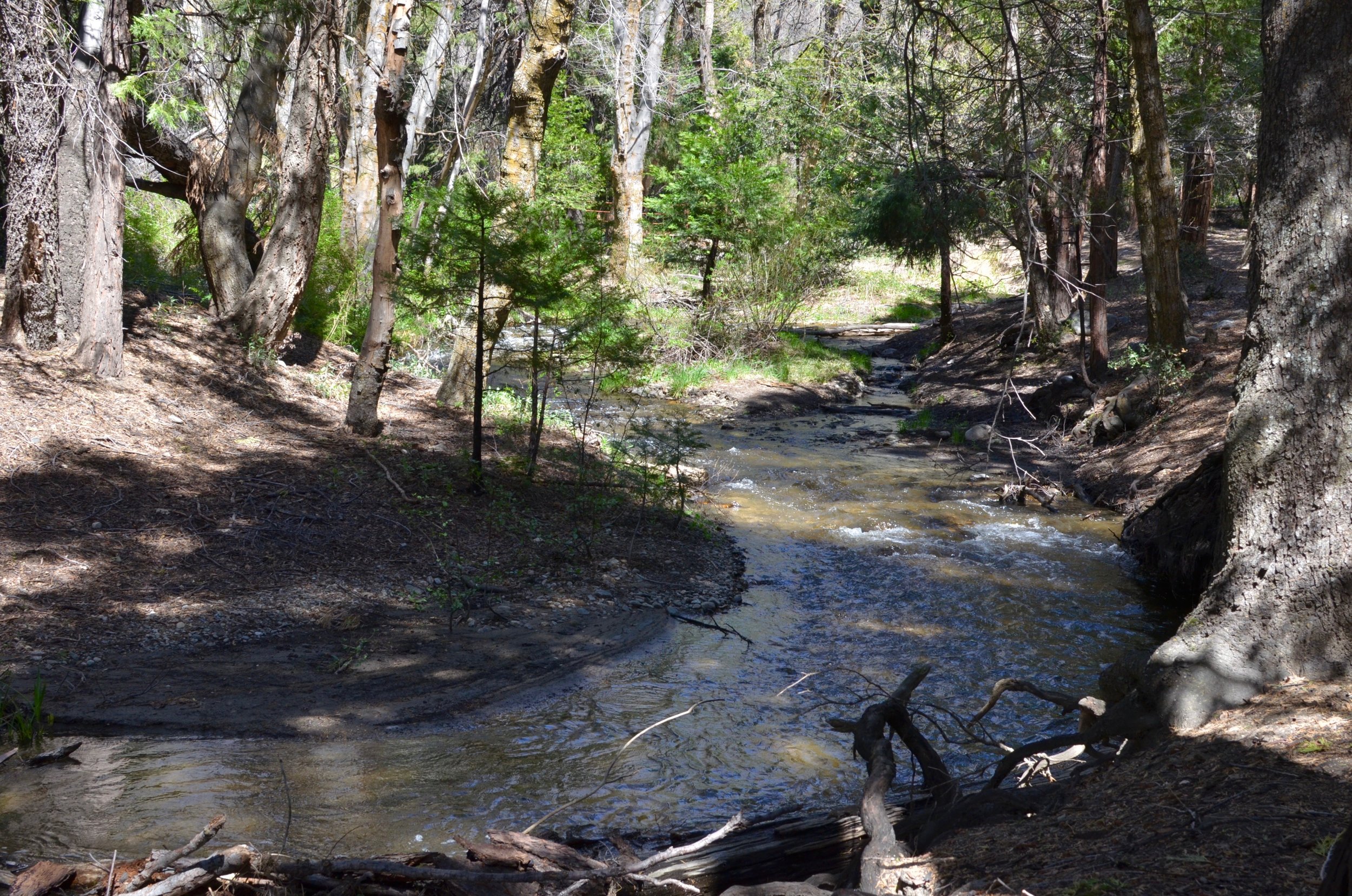 River Walks