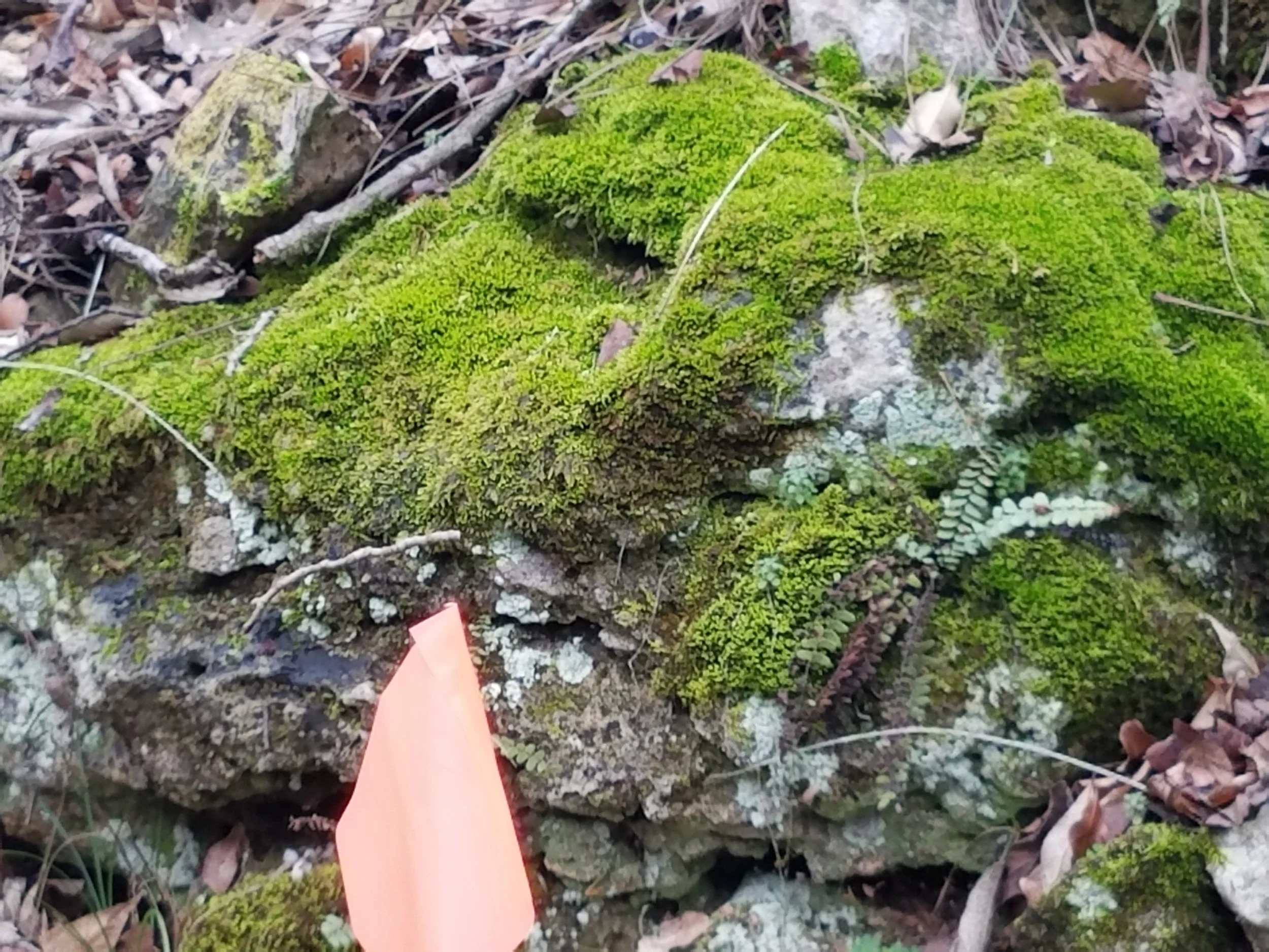 20170116_141037.jpg
