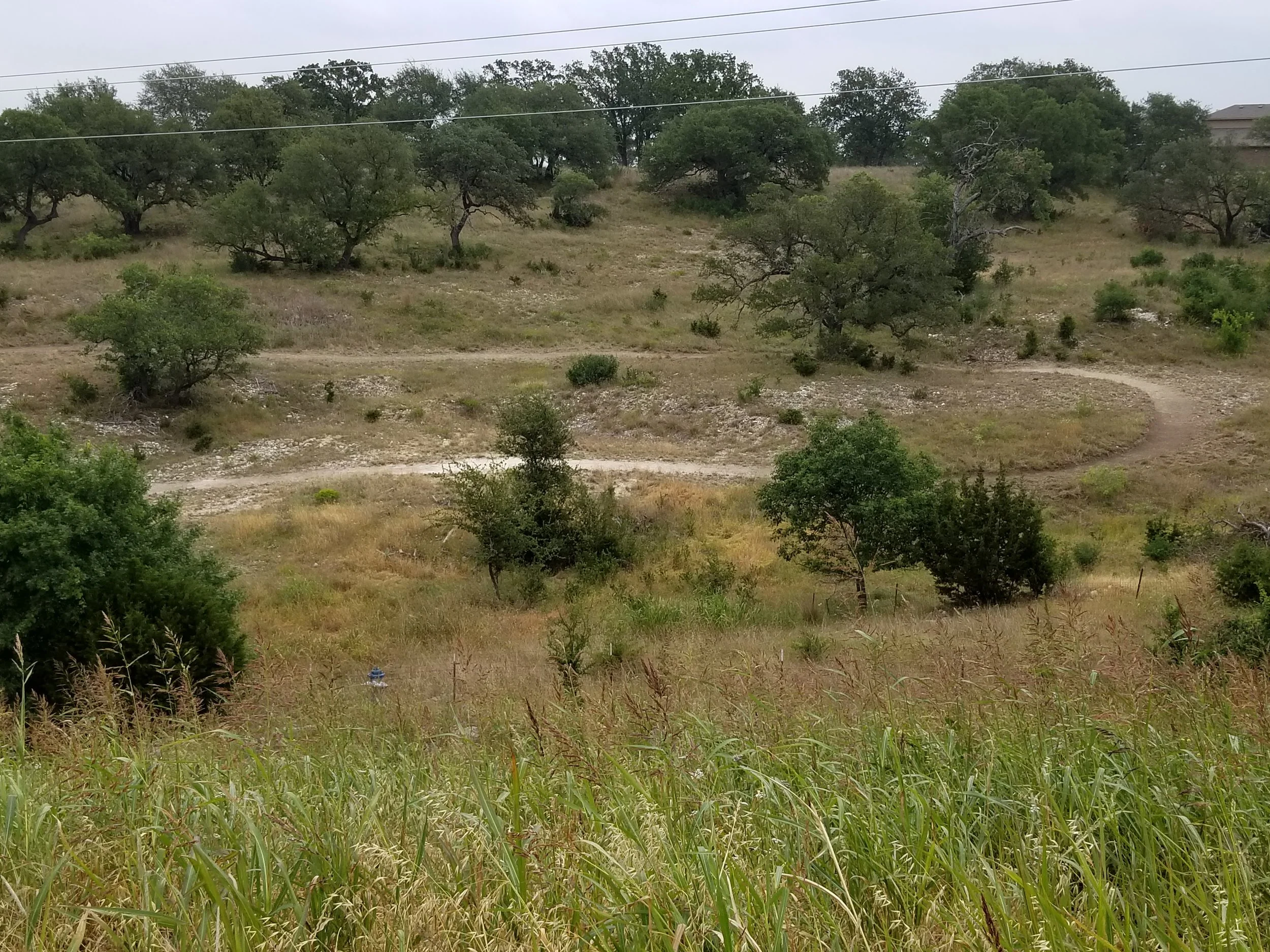 20170510_132005.jpg