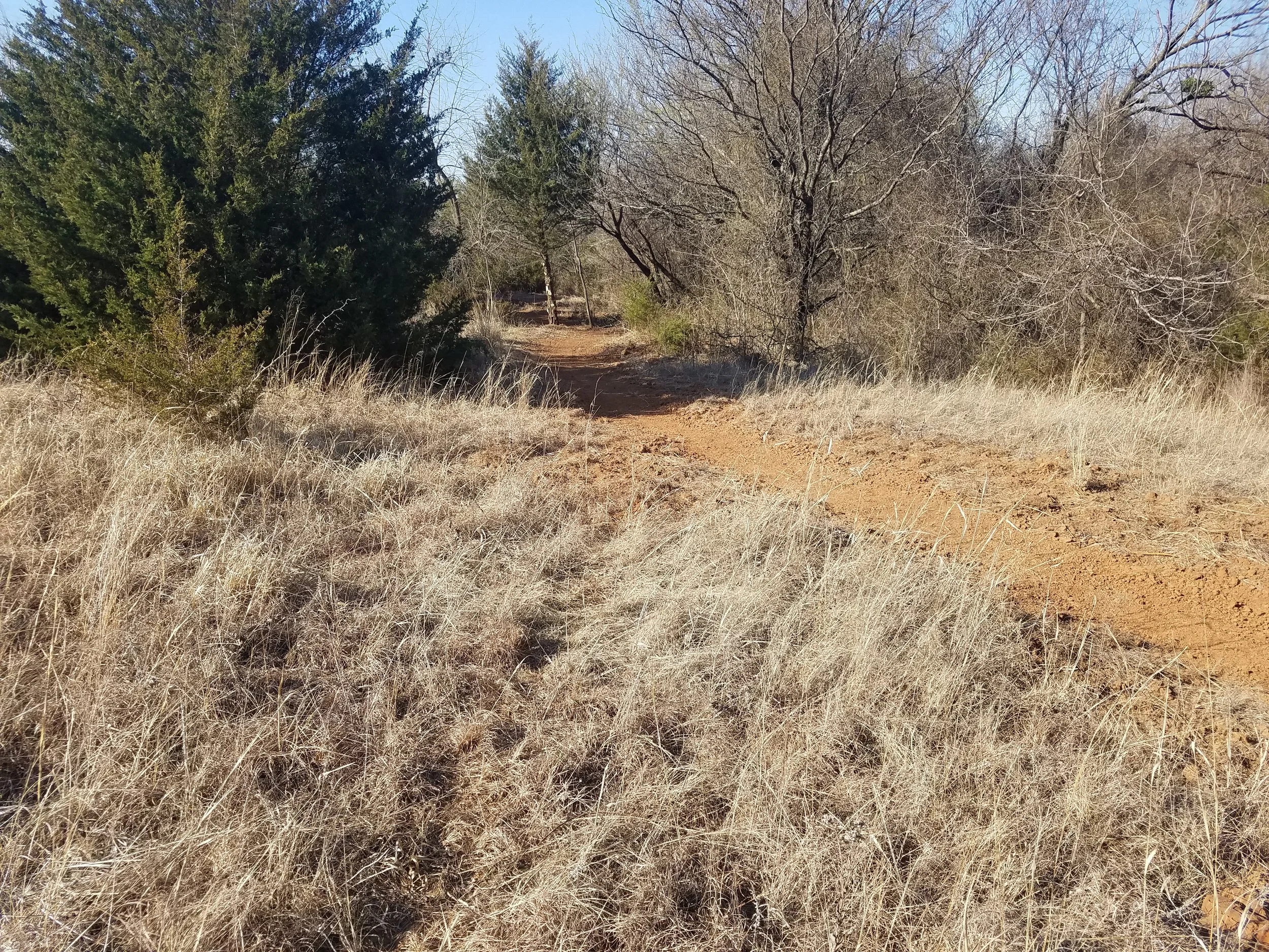 20170307_160820.jpg