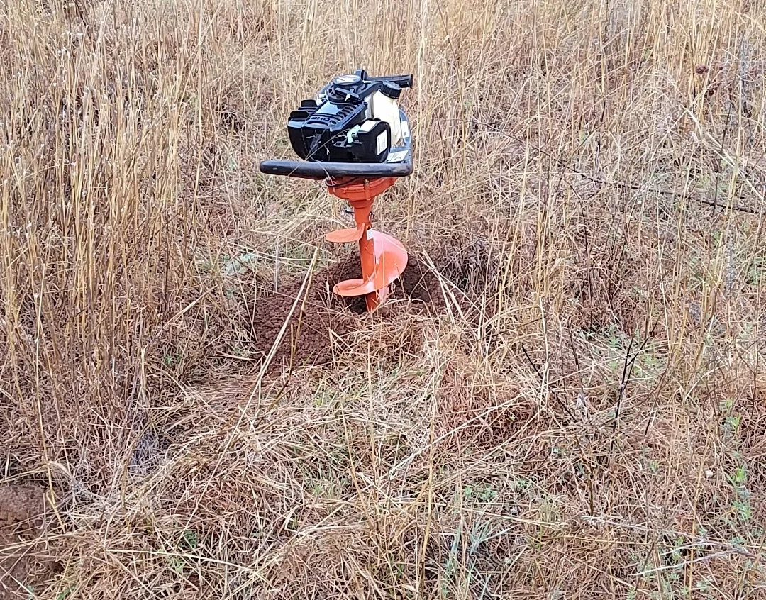 20170401_080314.jpg