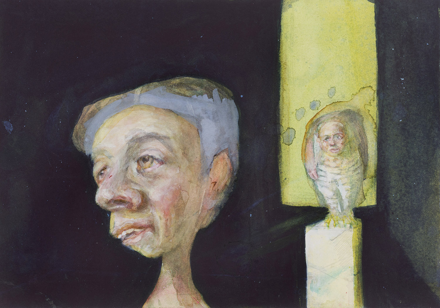 Henry-Coombes-Falconry.jpg