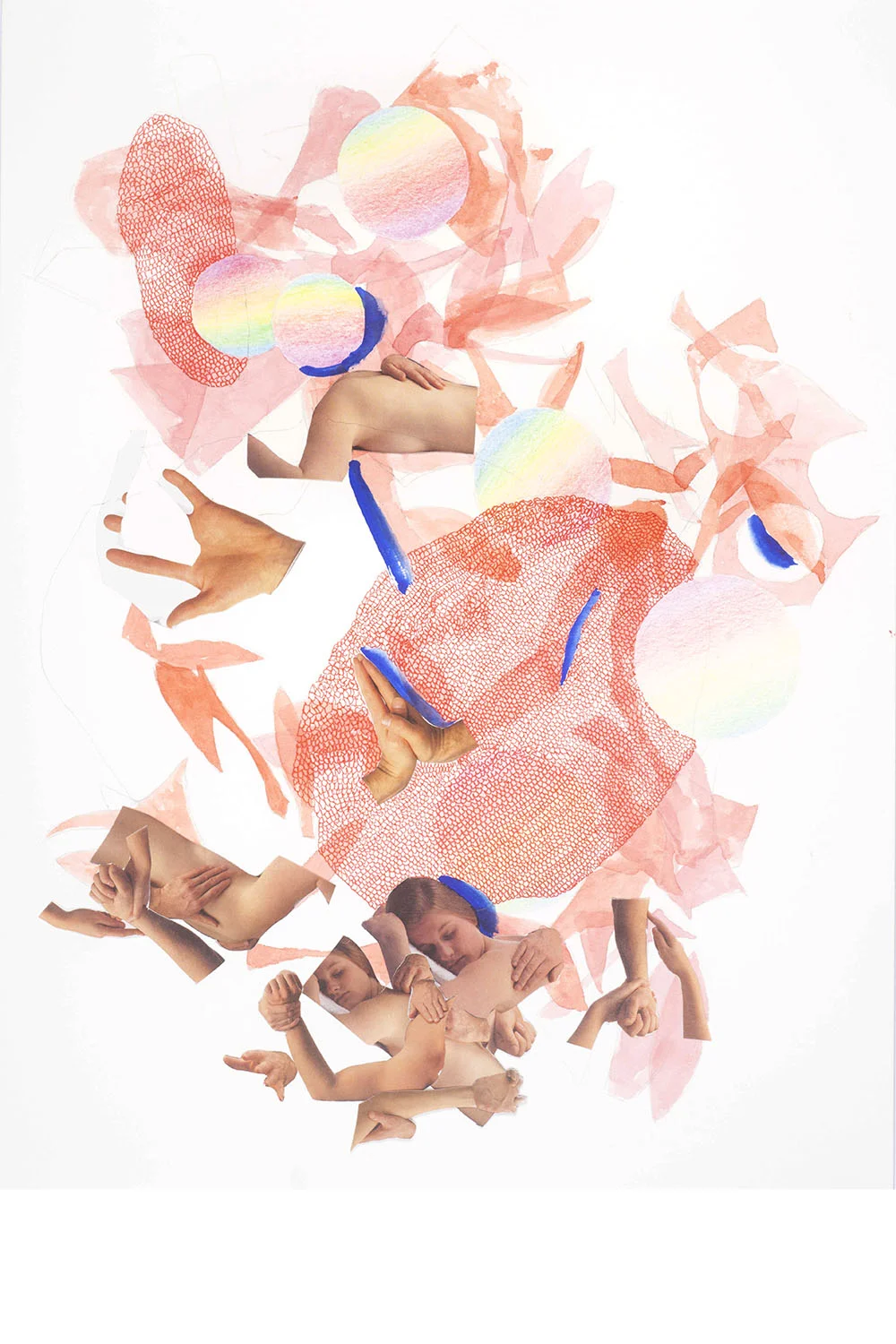 Catherine_Street_Birds_of_Paradise_1.jpg