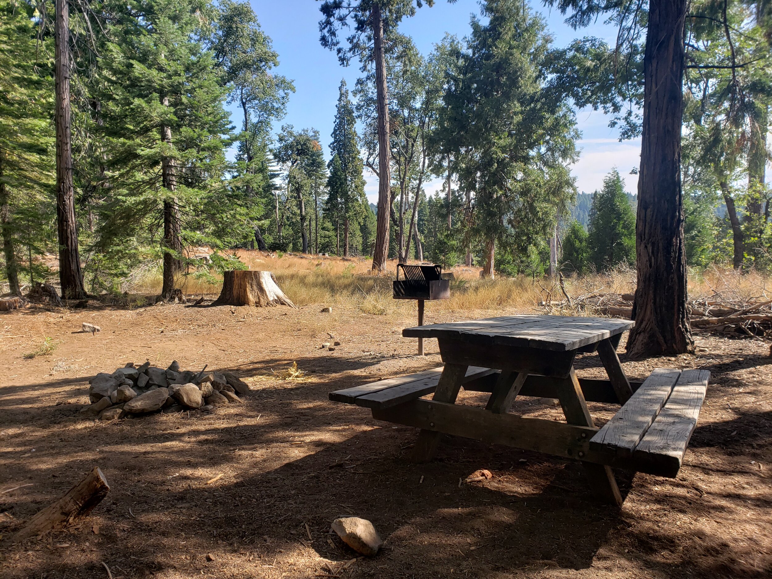 Golden Pines RV & Campground - Arnold, CA