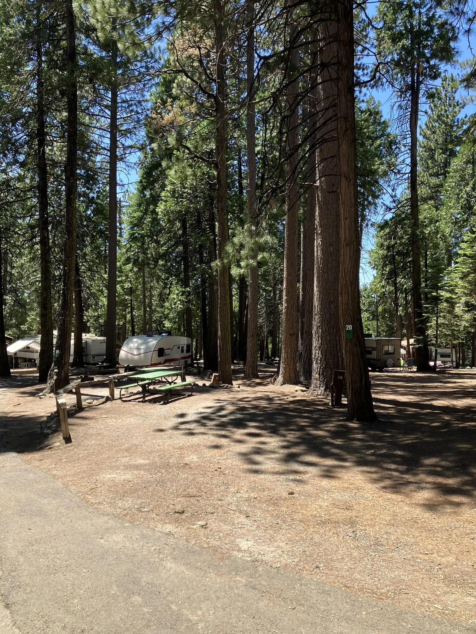 Site Photos - RVs — Golden Pines RV & Campground - Arnold, CA