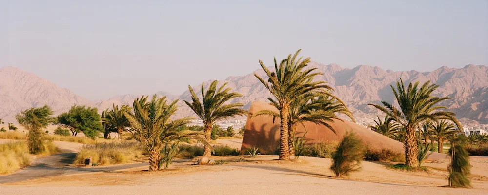 Jordan7_1000_400.jpg