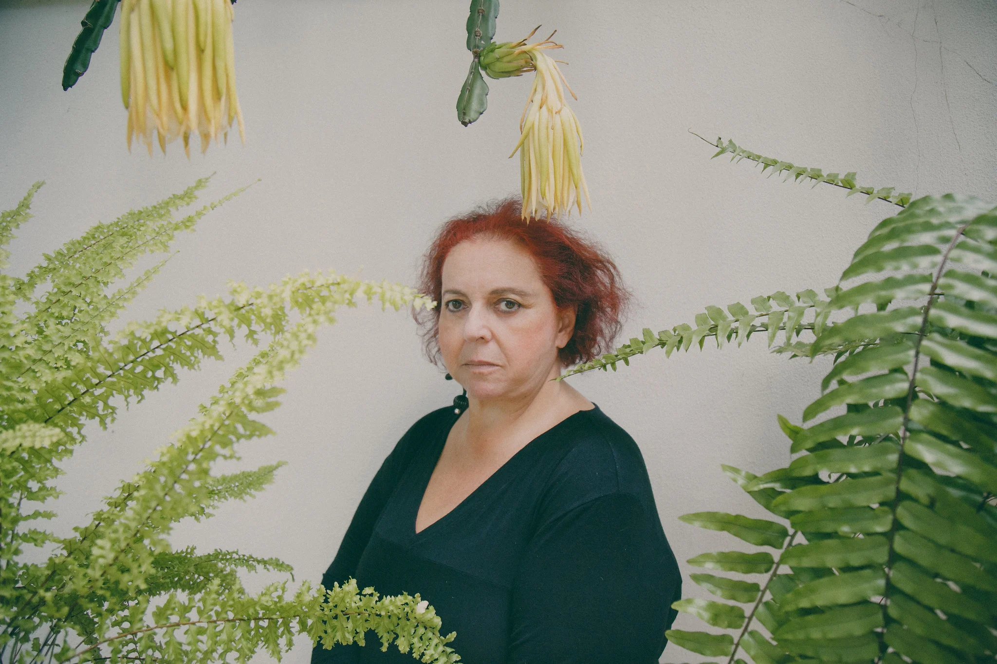 Cida Moreira