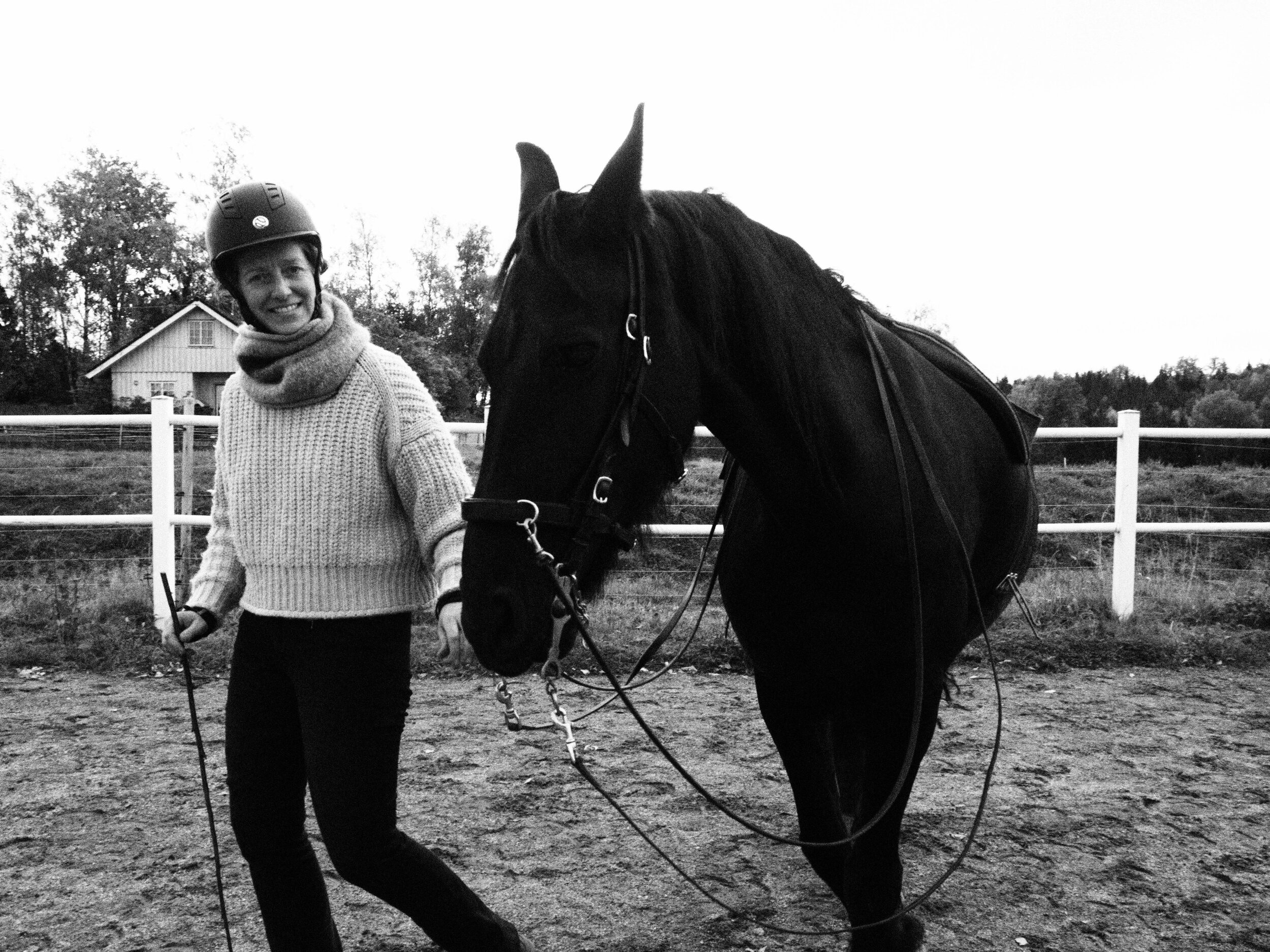 Holistisk hestepraksis: Movability Spine