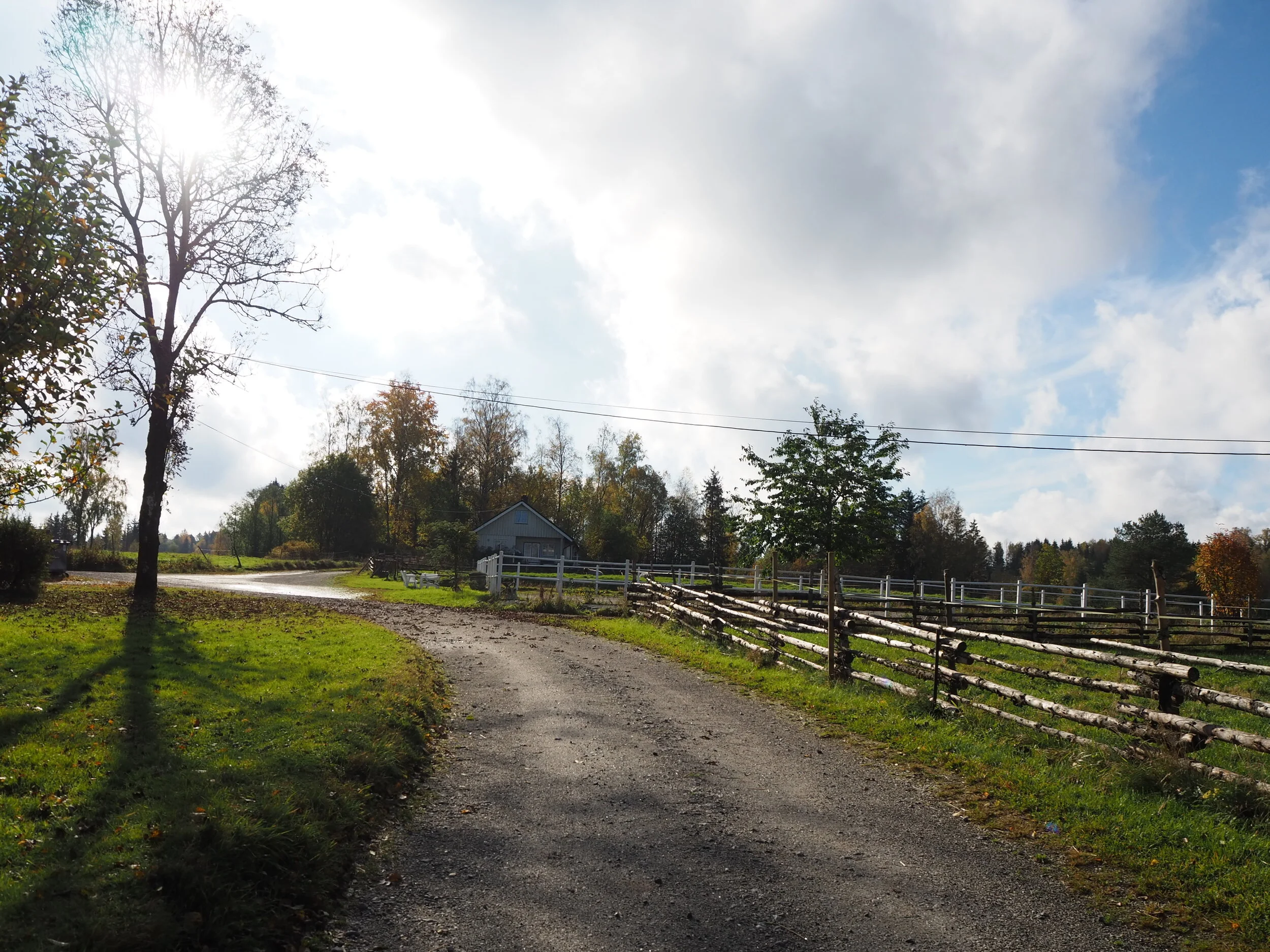 PA050517.JPG