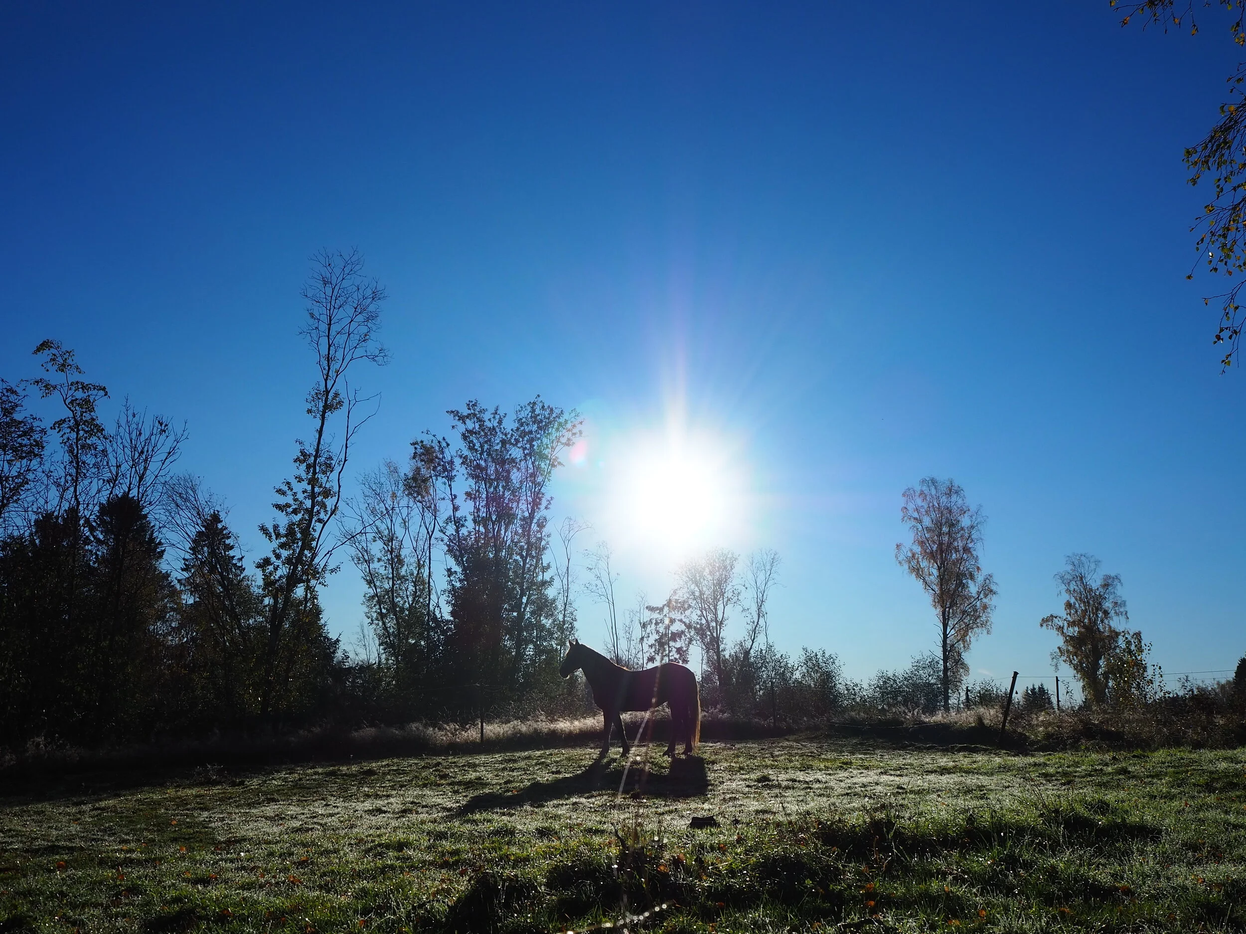 PA120770.JPG