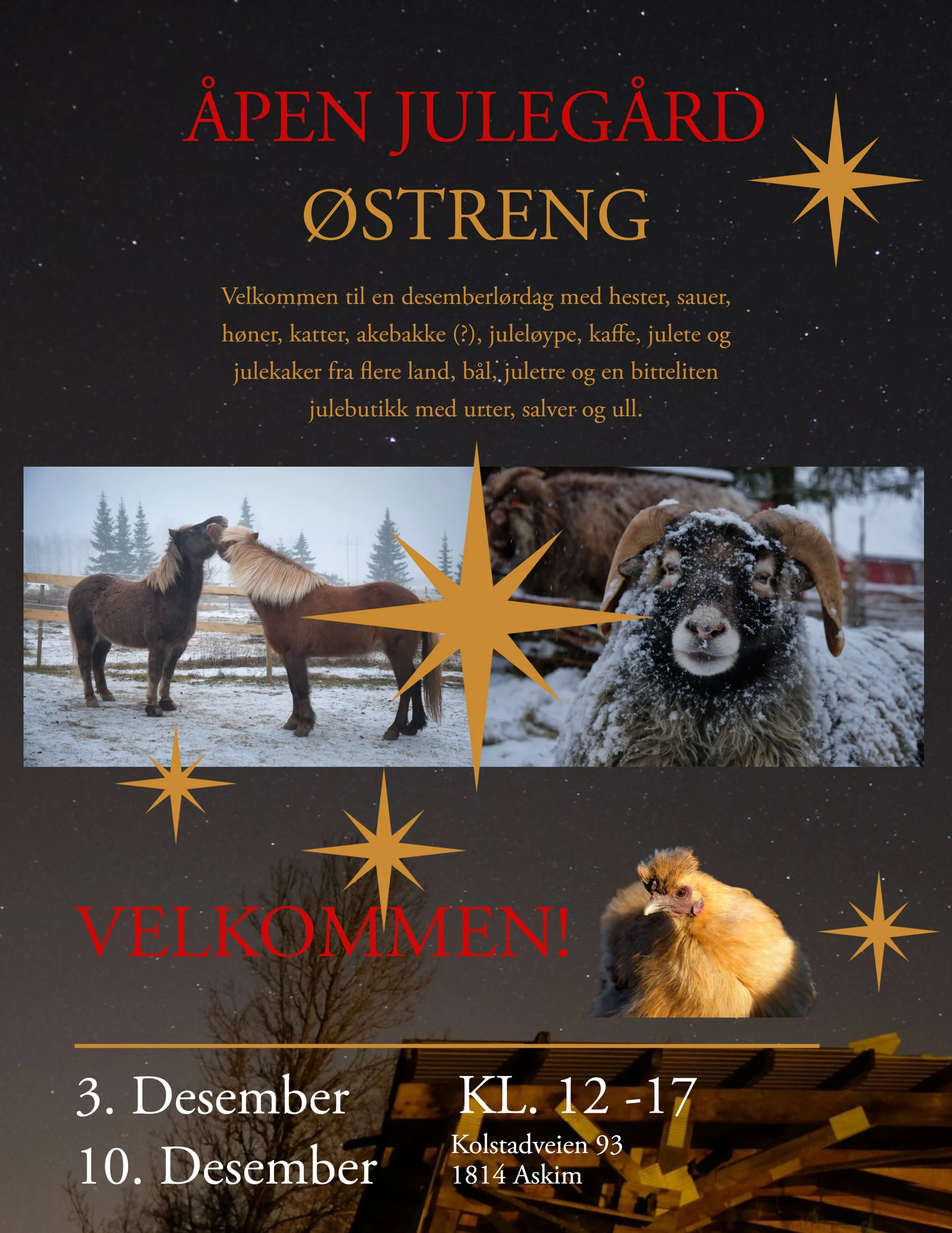 Åpen julegård! 