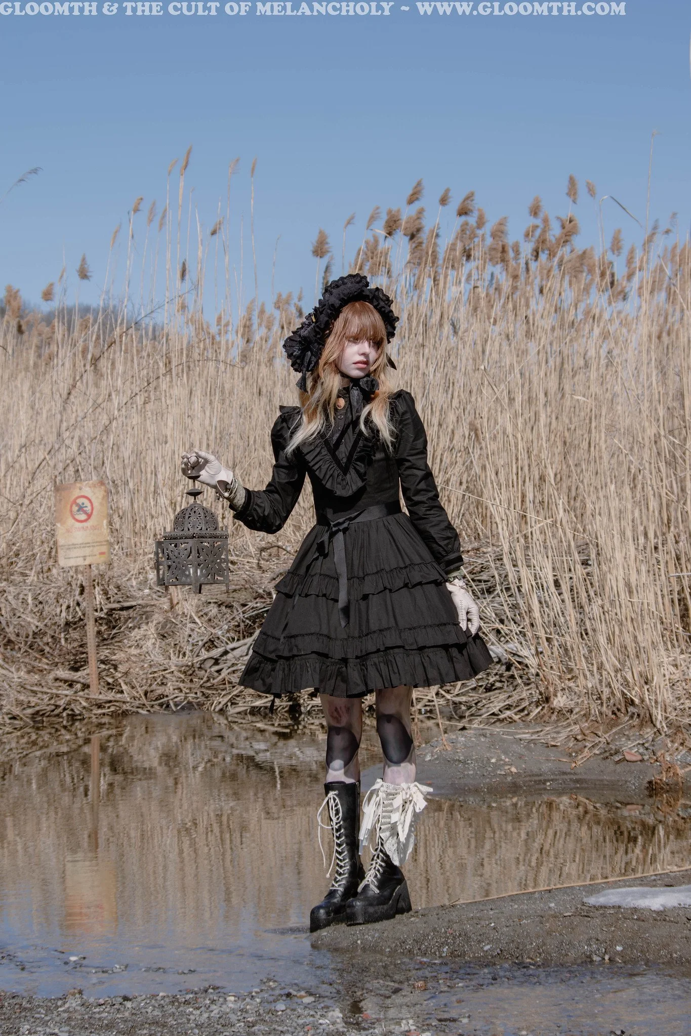 gothic victorian dress