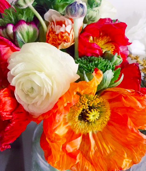 Poppies from the Pop-Up