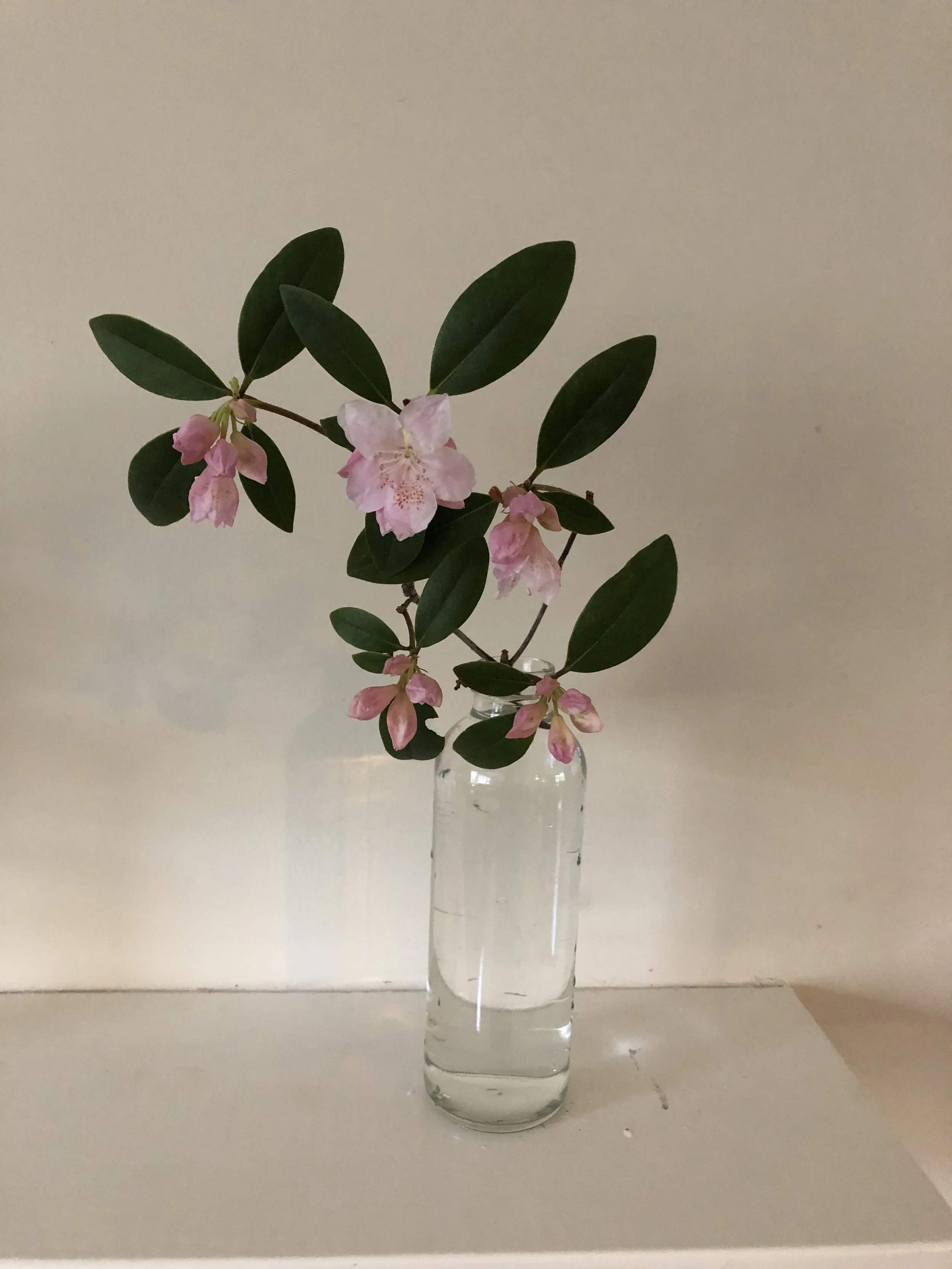 Ritual, RBG and (working) life