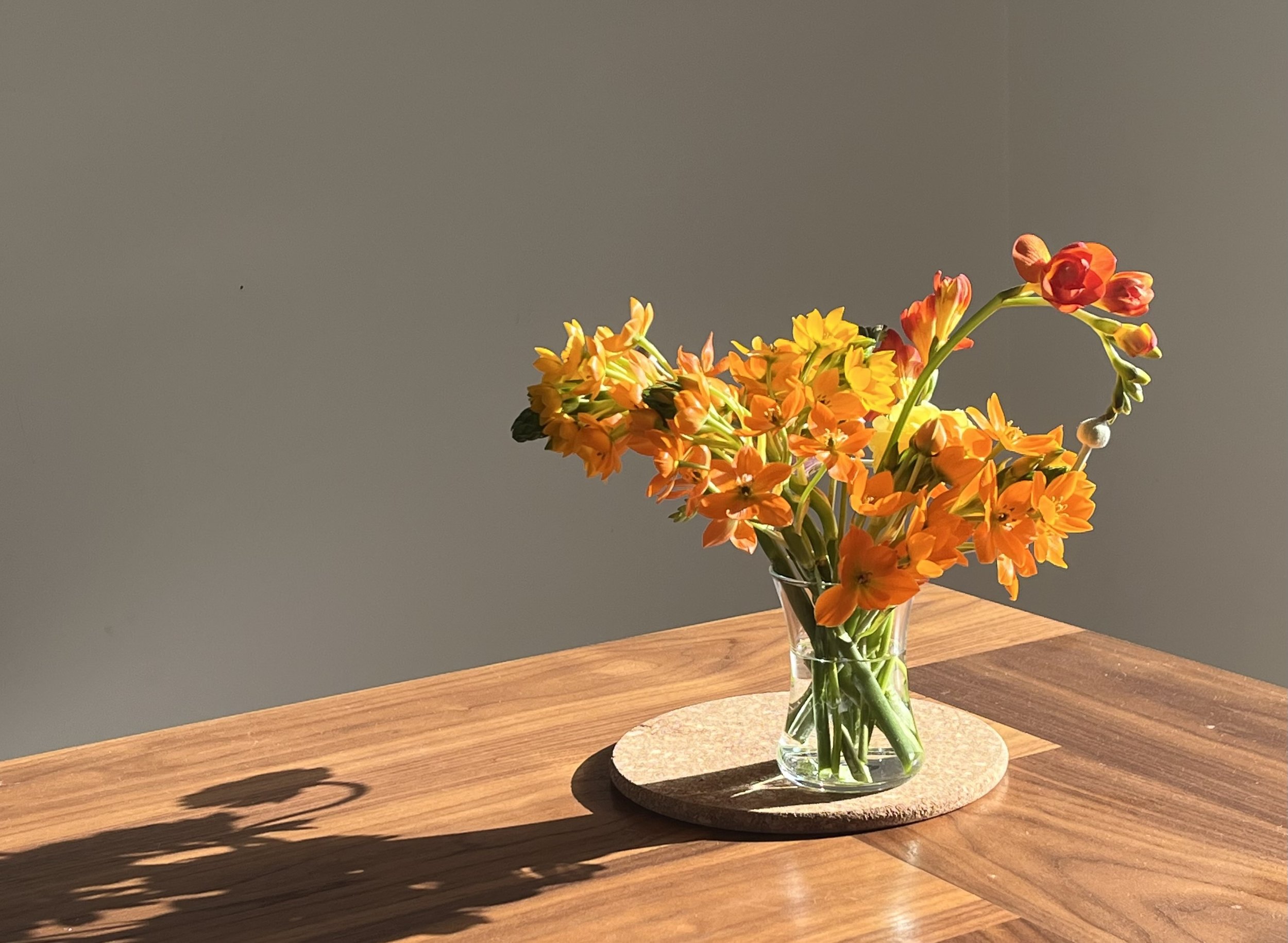 Vernal equinox comes from the Latin word vernare, "to bloom."