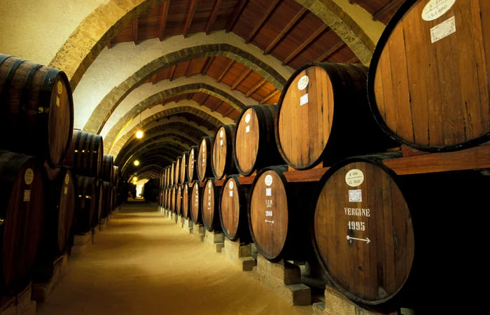 vinosss.jpg