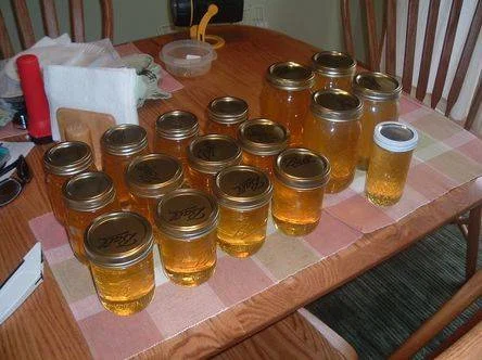 Honey in jars.JPG