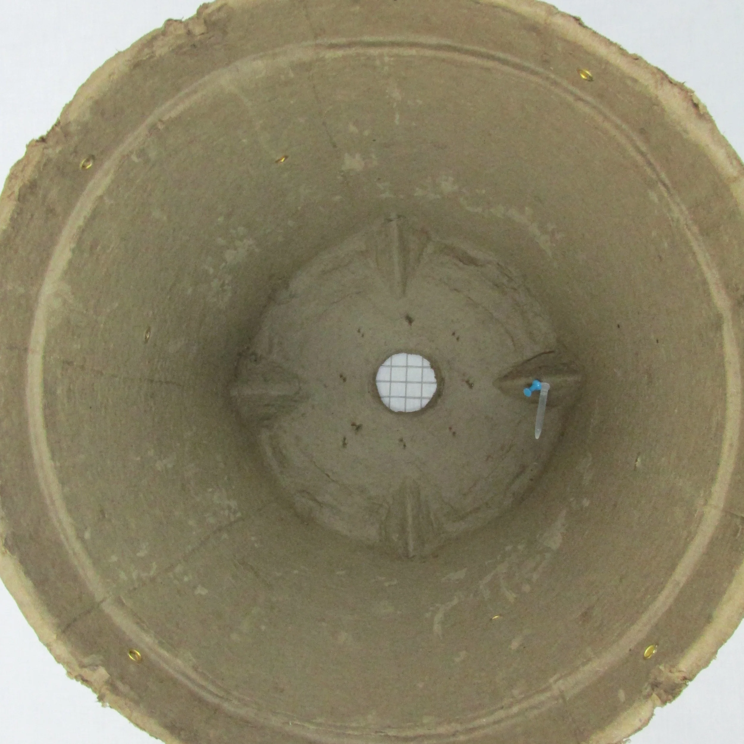 Ant trap 014.JPG